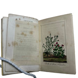 1817 Les Fleurs, Idylles by Dubos