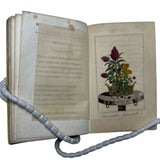 1817 Les Fleurs, Idylles by Dubos