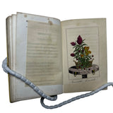1817 Les Fleurs, Idylles by Dubos
