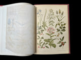 C.1890(?) Nos fleurs, plantes utiles et nuisibles, by Sablon