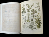 C.1890(?) Nos fleurs, plantes utiles et nuisibles, by Sablon