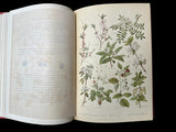 C.1890(?) Nos fleurs, plantes utiles et nuisibles, by Sablon