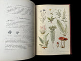 C.1890(?) Nos fleurs, plantes utiles et nuisibles, by Sablon