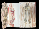 c.1900 Livre d'Or de la Santé [Anatomy/Medicine] 3 Volume Set
